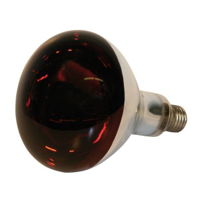 Infrarood lamp 150 Watt, Gabriel - infrarood met 150 W rood lampje licht verwarmen