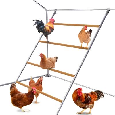 Sitzstangen für Hühner Aufbau-Set - Sitzleiter