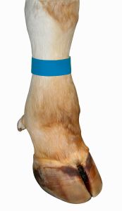 Bondage tape velcro sluiting, 10 stuks blauw