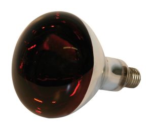 Infrarotbirne 150 Watt, Göbel