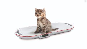 Kleine dierenweegschaal "Easy" 15kg maximale belasting - opvouwbare kleine dierenweegschaal voor mobiel gebruik