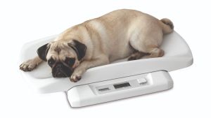 Kleine dierenweegschaal "Pet" met verwijderbare lade - digitale weegschaal voor kleine dieren tot 20kg