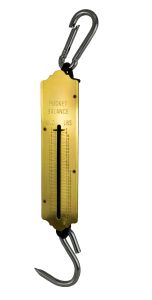 Lente schaal 100 kg