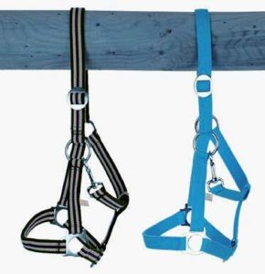 Riem Holster, grootte: veulens, verstelbare,. Kleuren