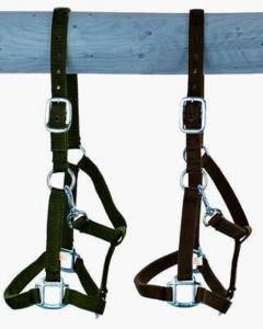 Riem Holster, grootte: warmbloed, extra sterk met gesp
