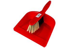 Borstel &amp; Pan 2 stuk plastic, hand borstel + scoop