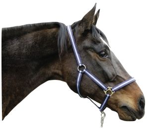 Nylonhalfter Hippo, Größe: Pony, verschiedene Farben