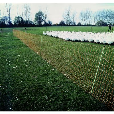 EURO-net extra voor kip met dubbele top, hoogte: 112 cm, lengte: 50 m - pluimvee NET
