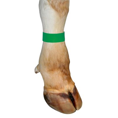 Enkel strap velcro sluiting, 10 stuks groen