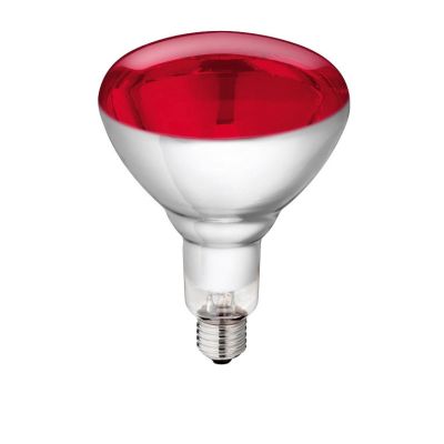 Infrarotbirne Philips 250 Watt - Rotstrahler - Rotlicht Wärmestrahler