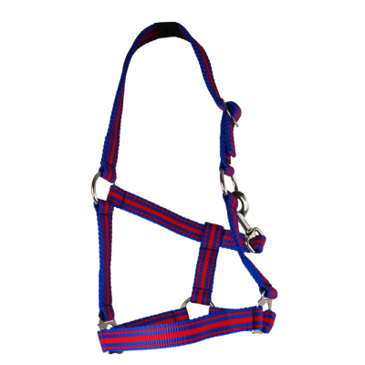 Riem Holster, grootte: Pony, verstelbare,. Kleuren