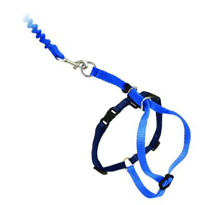 Gemakkelijk™ lopen 33-46 cm kat harnas en riem, blauw