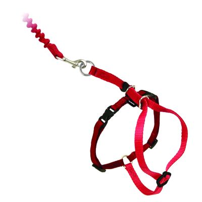 Gemakkelijk™ lopen 33-46 cm kat harnas en riem, rood