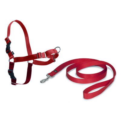 Gemakkelijk lopen™-schotel 38 cm - 51 cm rood