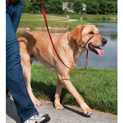 Loopafstand™ hoofd lijn 27 kg - 59 kg