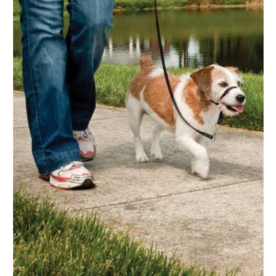 Loopafstand™ hoofd lijn tot 11 kg