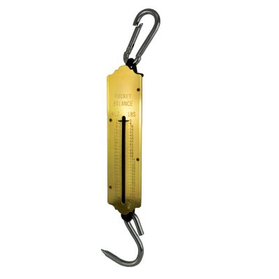 Lente schaal 100 kg