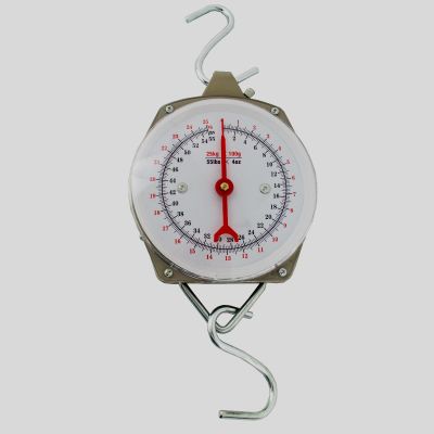 Wijzerweegschaal voor wild Visweegschaal 25 kg, met schaalverdeling van 100g, wijzerweegschaal