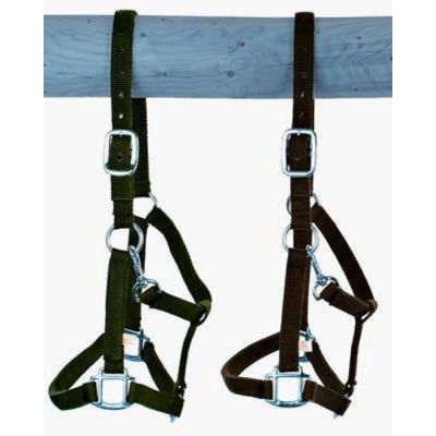 Riem Holster, grootte: warmbloed, extra sterk met gesp