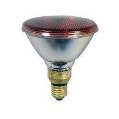 Energie-besparende infraroodlamp 175 Watt, Eider
