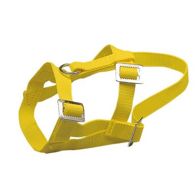Hoofd Halters voor schapen, nylon