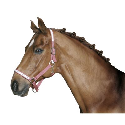 Mane rubber white 800 St. dispenserdoos