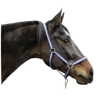 Nylonhalfter Hippo, Größe: Pony, verschiedene Farben