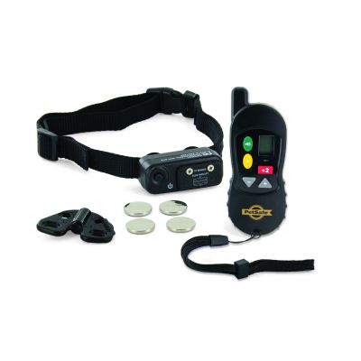 Externe trainer 100 m hondje
