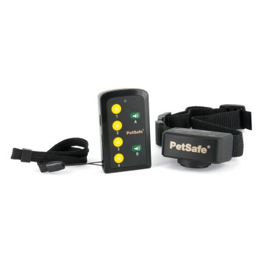 70 m gemakkelijk externe trainer