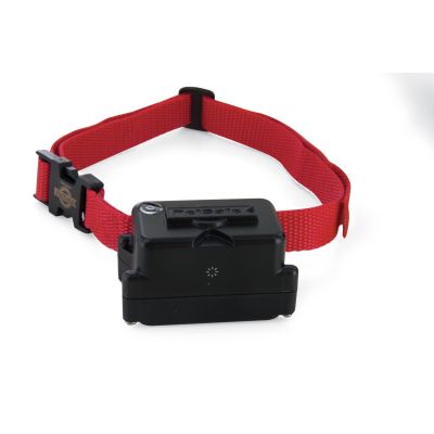 PetSafe extra ontvanger kraag voor koppige honden - PIG19-10763