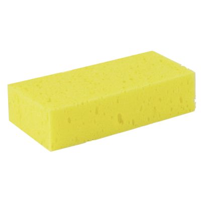 Spons reinigen