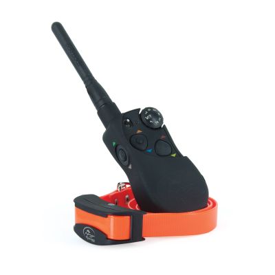 Sport Trainer 1600 m externe trainer