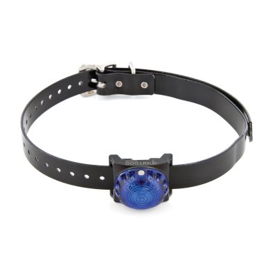 Sport Taks Voetspoor licht blauw SDLB-BL-E