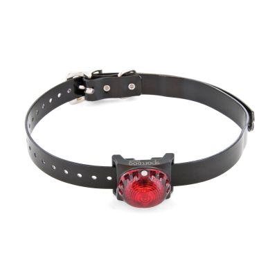 Sport hond lokaliseren lamp rood - SDLB-TS-E
