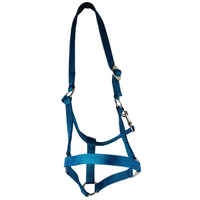 Riem Holster, grootte: warmbloed, verstelbare,. Kleuren