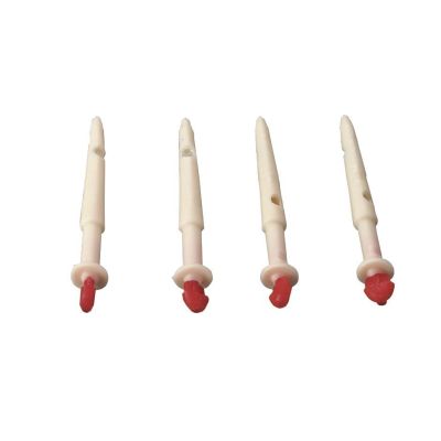 Speen canule 5 cm, 10 stuks Pack
