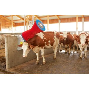 Vee borstel EuroFarm