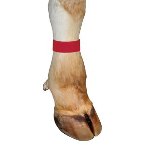 Enkel strap velcro sluiting, 10 stuk rood