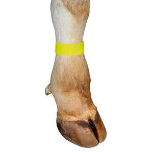 Enkel strap velcro sluiting, 10 stuks geel