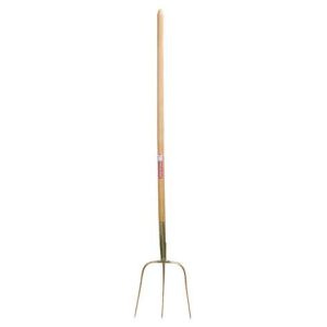 Verstrooiing vork oogst koning, omgaan 3 tanden, 30 x 30, met 135 cm