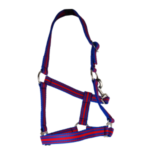 Riem Holster, grootte: Pony, verstelbare,. Kleuren