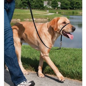Loopafstand™ hoofd lijn 27 kg - 59 kg