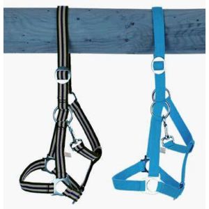 Riem Holster, grootte: veulens, verstelbare,. Kleuren