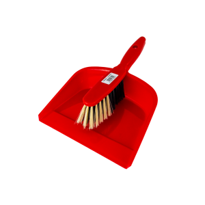 Borstel &amp; Pan 2 stuk plastic, hand borstel + scoop