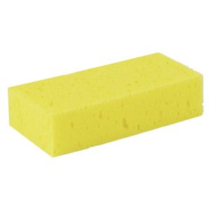 Spons reinigen