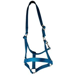 Riem Holster, grootte: warmbloed, verstelbare,. Kleuren
